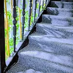 4 Karma369 Plowdiw