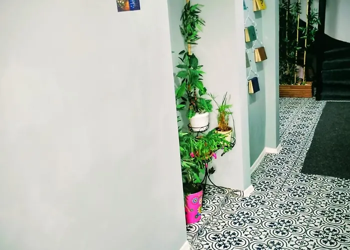 אכסניה 4 Karma369